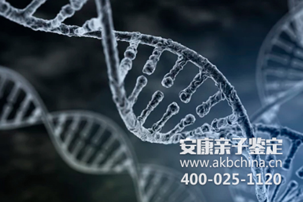 重庆天津给小孩DNA做亲子鉴定需要什么证件？ 