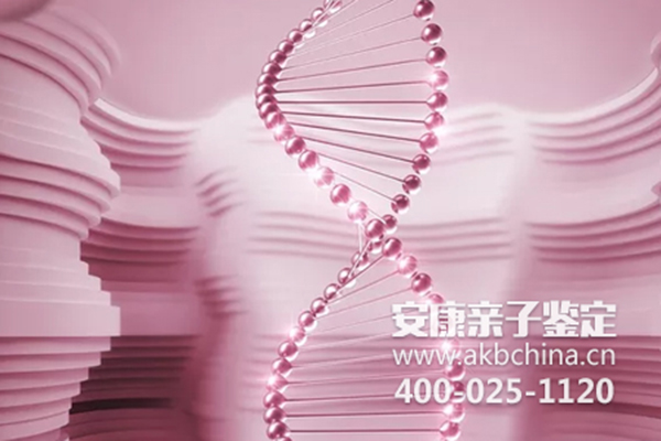 重庆上海安康个人隐私亲子鉴定和DNA鉴定的流程 